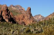 A scenic view of saguaro cacti and prickley pear cacti with mountains and sky
