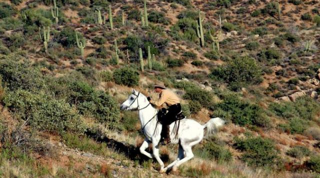 Man riding up a hill on a white horse, the horse is running/galloping.